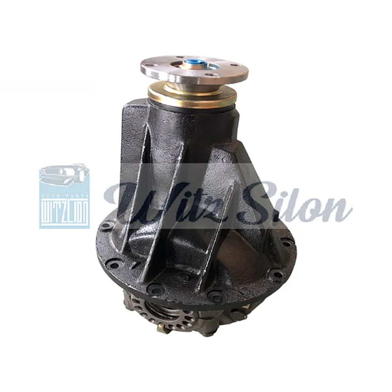 CHINA 8 41 Ratio 28T Auto Rear Differential Assembly for WULING 1.5 N300
