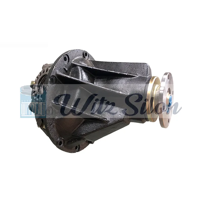 CHINA 8 41 Ratio 28T Auto Rear Differential Assembly for WULING 1.5 N300