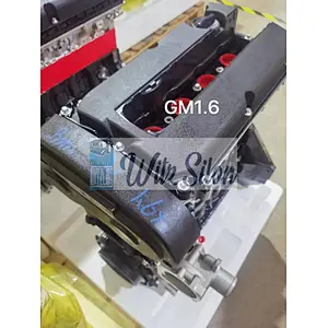 GM 1.6 F16D3 LONG BLOCK