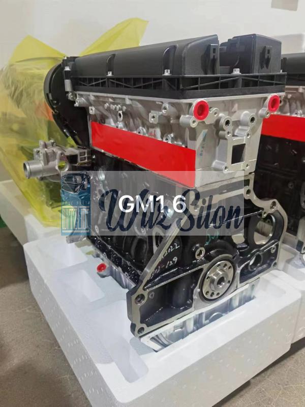 GM 1.6 F16D3 LONG BLOCK