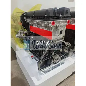 GM 1.6 F16D3 LONG BLOCK