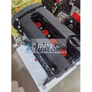 GM 1.6 F16D3 LONG BLOCK