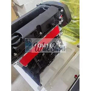 GM 1.6 F16D3 LONG BLOCK