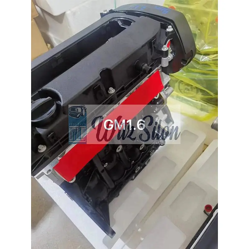 GM 1.6 F16D3 LONG BLOCK