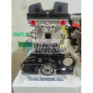 GM 1.6 F16D3 LONG BLOCK