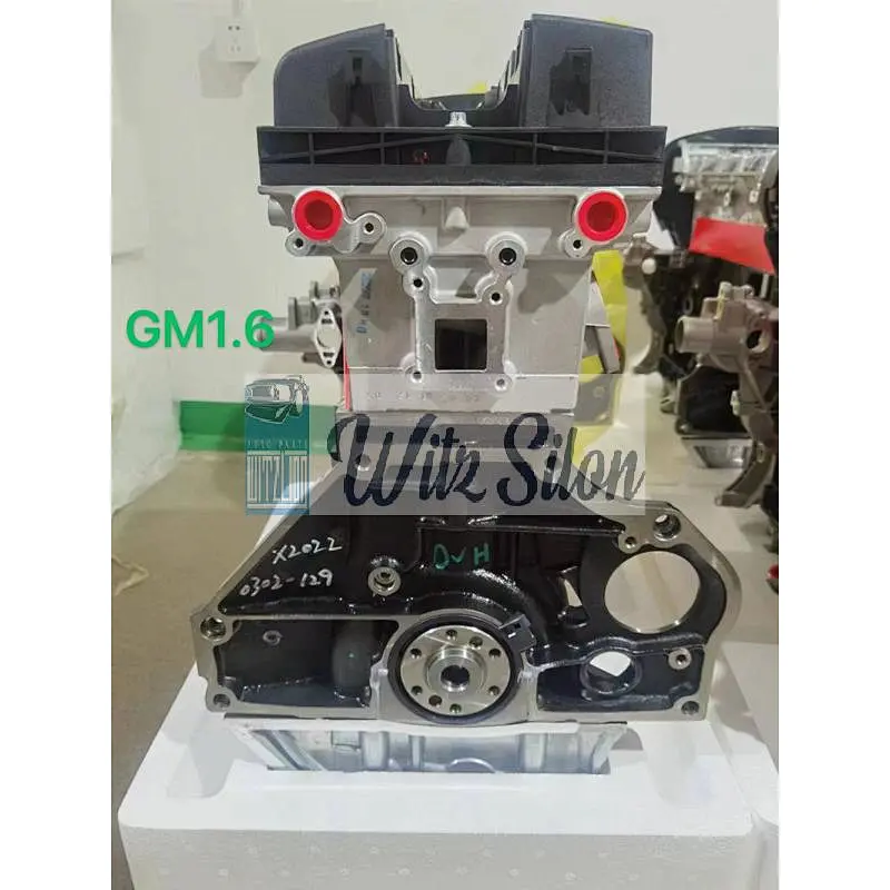 GM 1.6 F16D3 LONG BLOCK