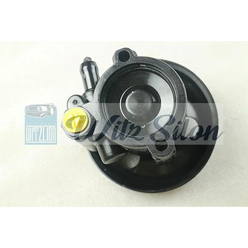 Power Steering Pump Fit For Holden Commodore PSP-DTP-9600