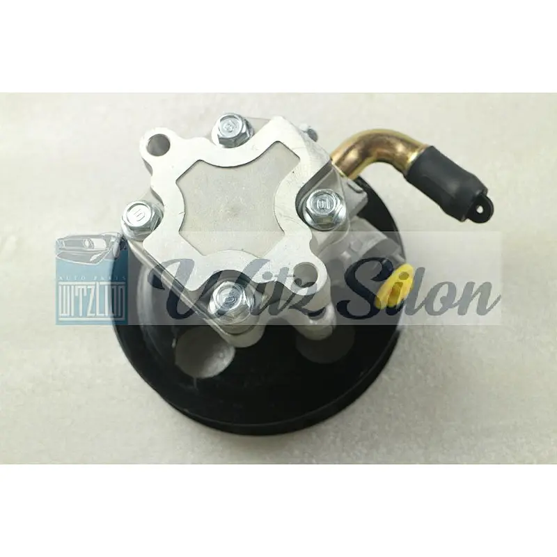 Power Steering Pump Fit For Holden VZ & WL Commodore Calais Statesman 251607095918