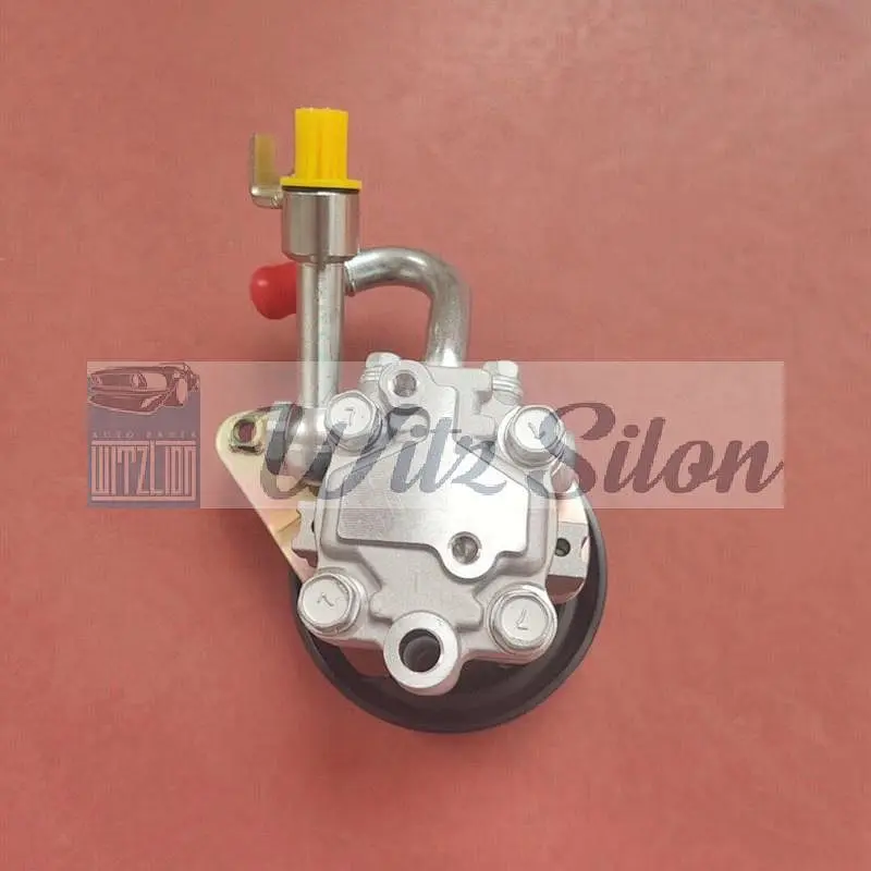 most popular Power Steering Pump For Nissan Teana 2.3 49110-9W100