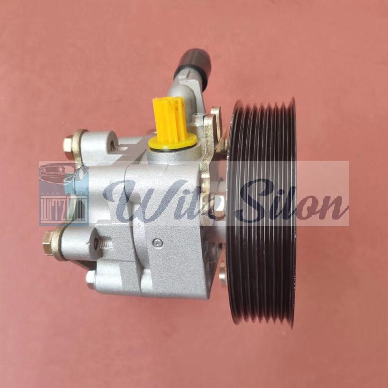 49110-2NA00 Power Steering Pumps for Nissan Teana 2.5l