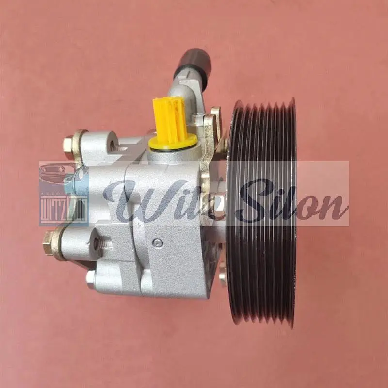 49110-2NA00 Power Steering Pumps for Nissan Teana 2.5l