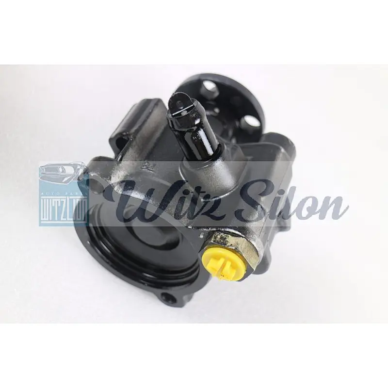 Power Steering Pump Fit For Holden VS VT VX VY WH &WK Commodore  251683229380