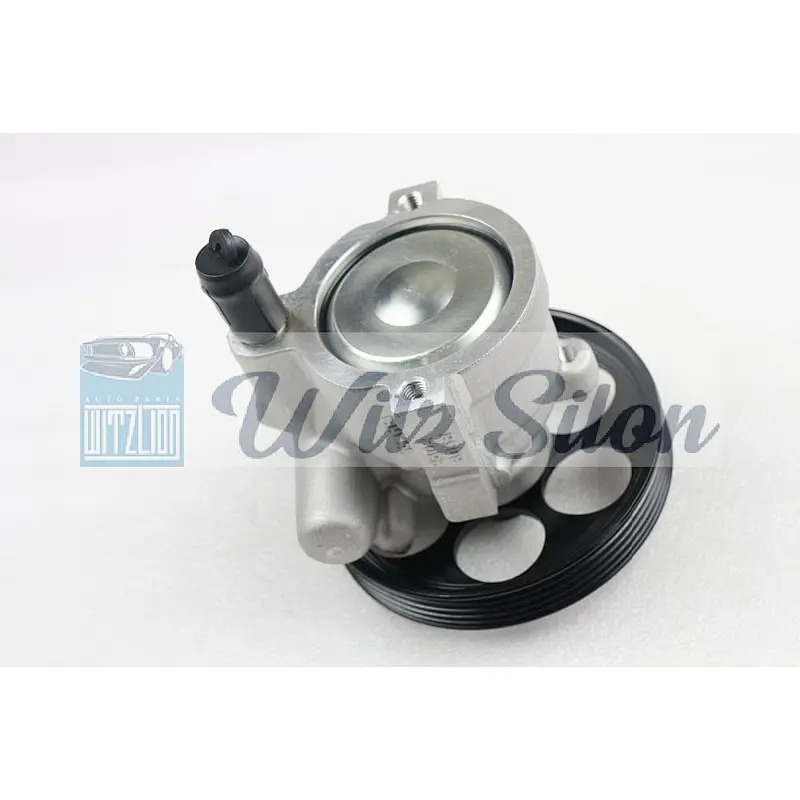 Power Steering Pump Fit For Opel Movano Renault Master Renault Trafic Vauxhall Movano Vauxhall Vivaro 8300024778