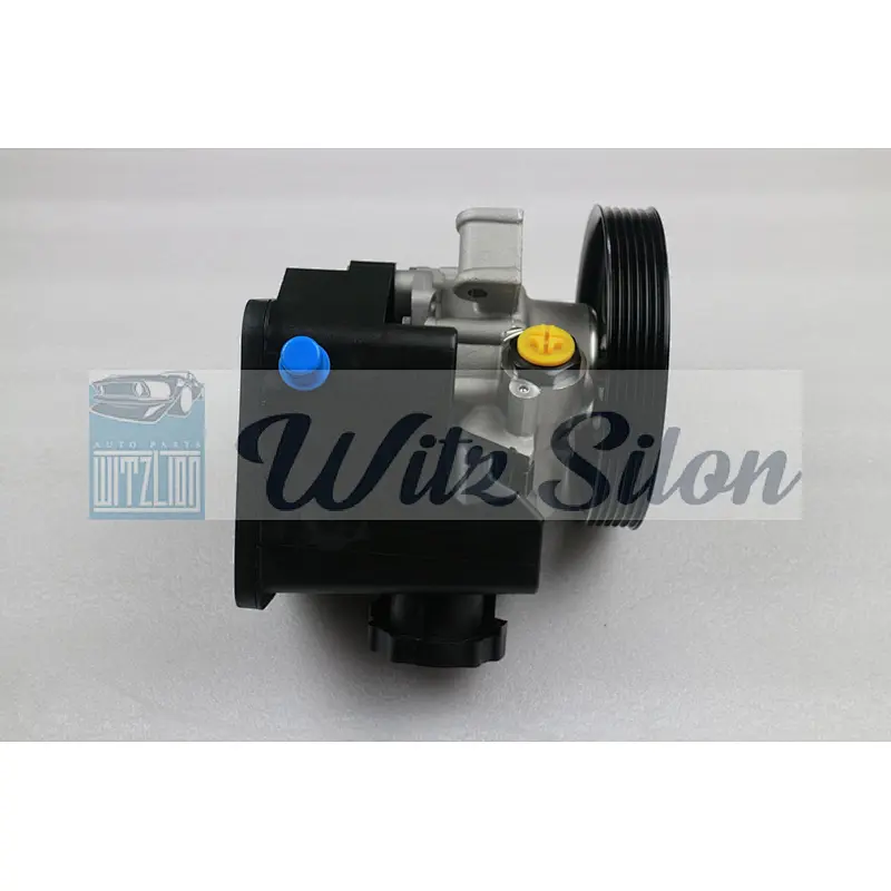Oem 34664101 A0034661601 541019110 Power Steering Pump for Mercedes Benz C209 A209 W203 W204 W211
