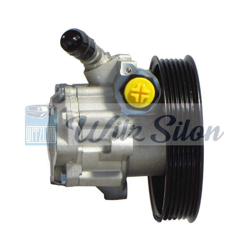 5491881 power steering pump for CHEVROLET SPARK LOVA