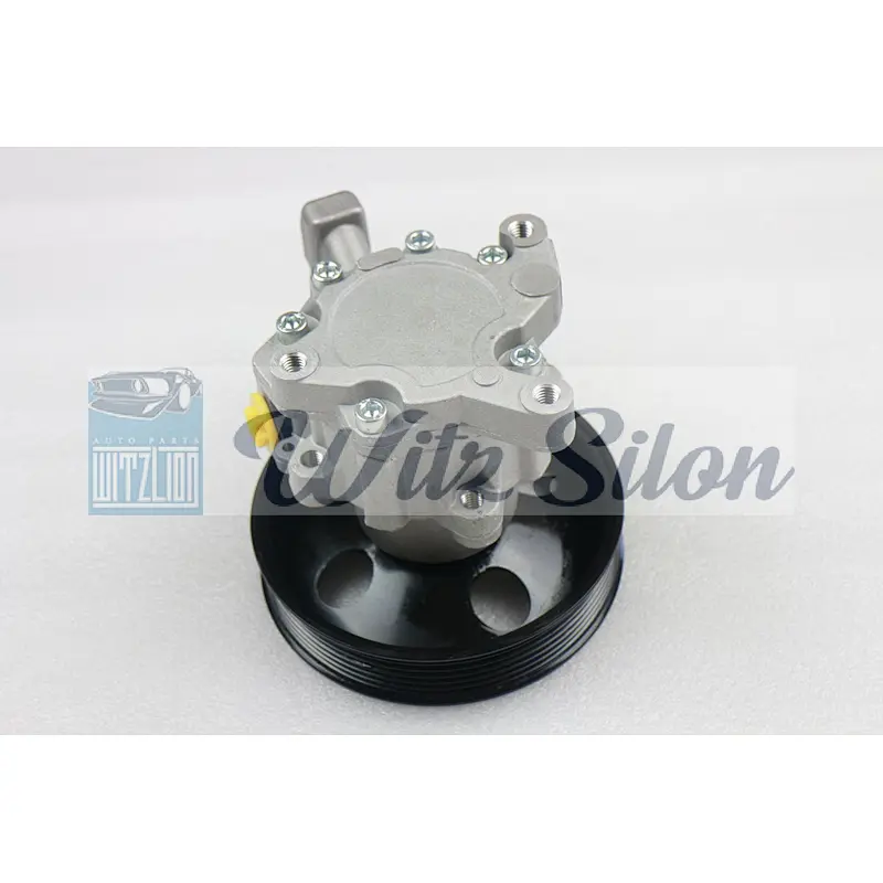 Oem 0024668601 0146310003 0024462901 Power Steering Pump for Mercedes-Benz E-Class S-Class W211 W220 C215