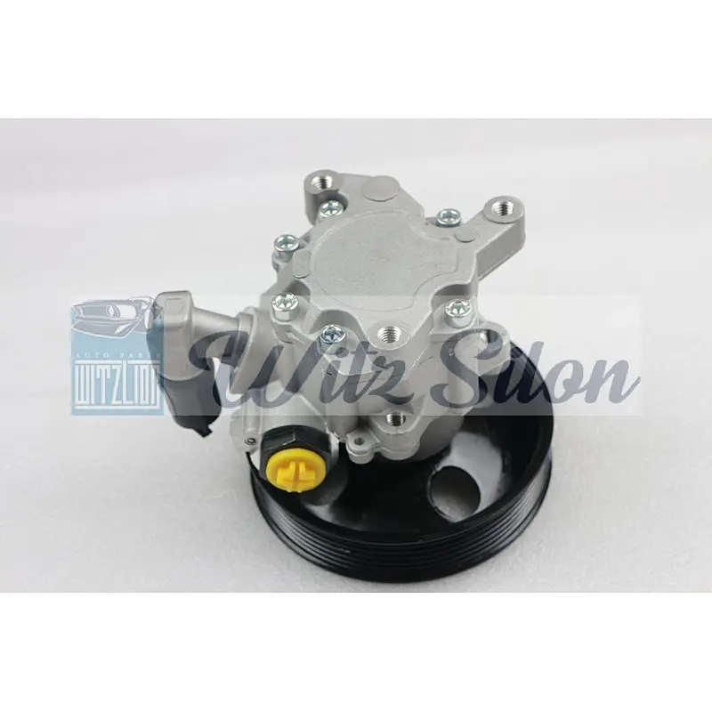 Oem 0024668601 0146310003 0024462901 Power Steering Pump for Mercedes-Benz E-Class S-Class W211 W220 C215
