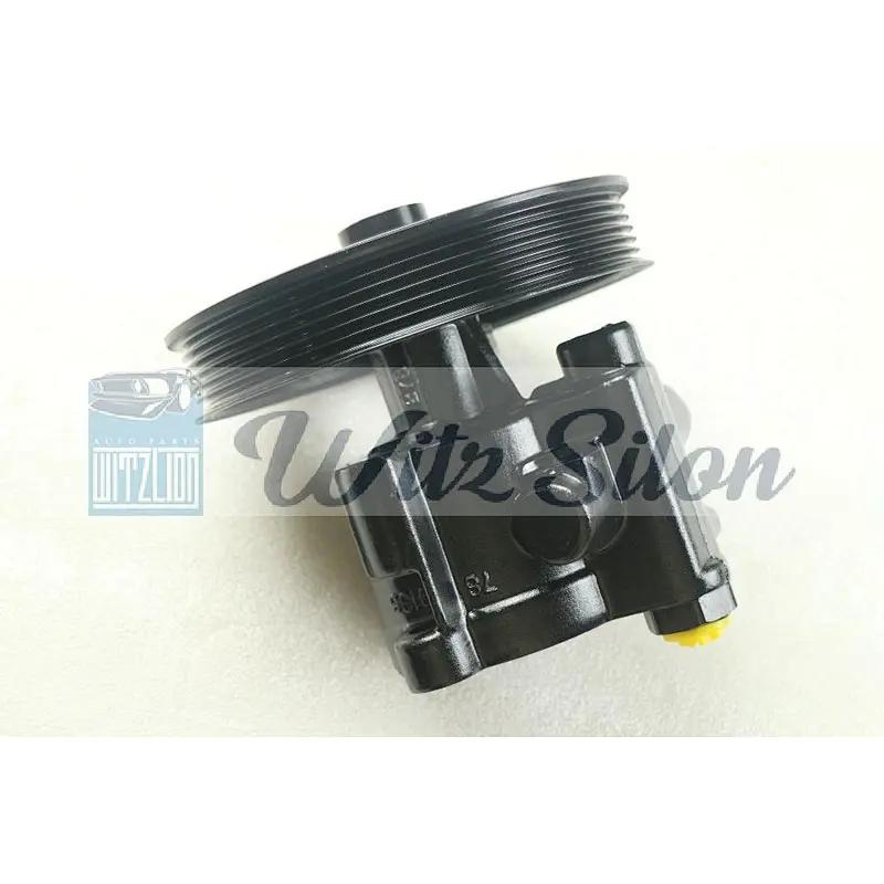 Power Steering Pump Fit For Holden Commodore PSP-DTP-9600