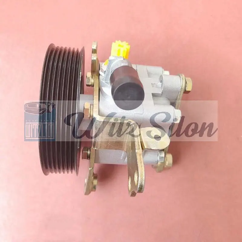 49110-2NA00 Power Steering Pumps for Nissan Teana 2.5l