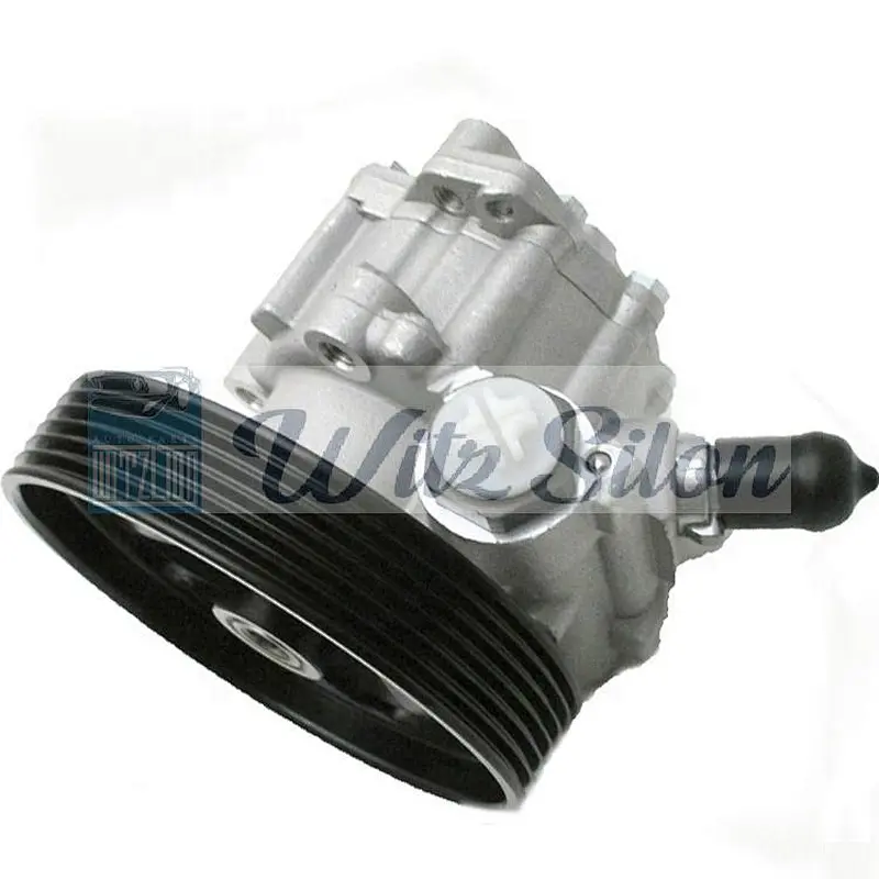 Oem 9656405380 9658419280 Power Steering Pump for Citroen C4 C5 Peugeot 407 307 206 207 CC 1007