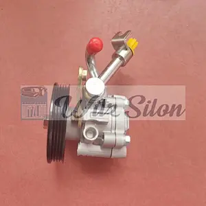 most popular Power Steering Pump For Nissan Teana 2.3 49110-9W100