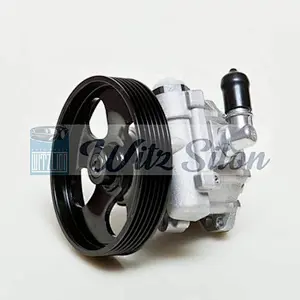 Hydraulic Power Steering Pump for Alfa Romeo 51839102