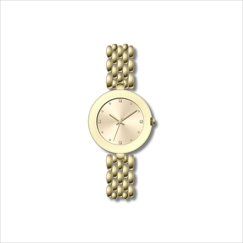 Famous Ladies Classic Stainless Steel Watches
