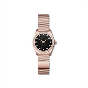 Famous Classic Ladies Stainless Steel Watches with Mesh band