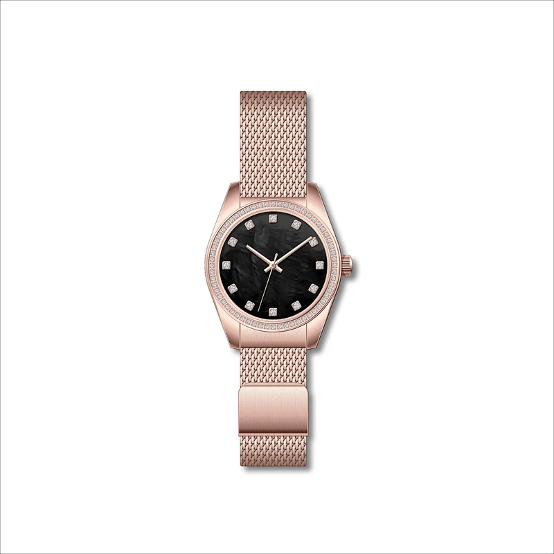 Famous Classic Ladies Stainless Steel Watches with Mesh band