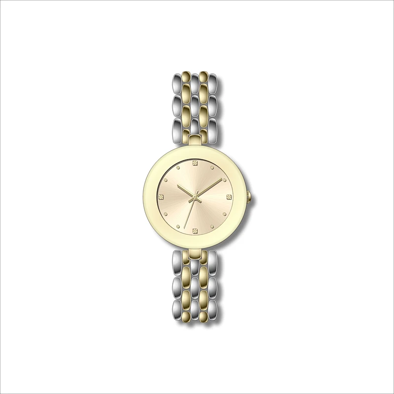 Famous Ladies Classic Stainless Steel Watches