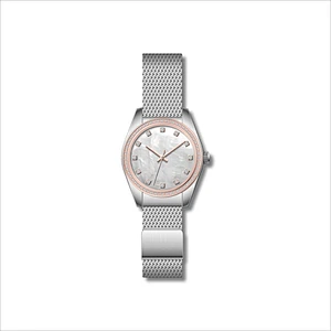 Famous Classic Ladies Stainless Steel Watches with Mesh band