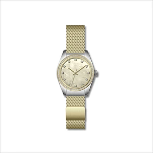 Famous Classic Ladies Stainless Steel Watches with Mesh band