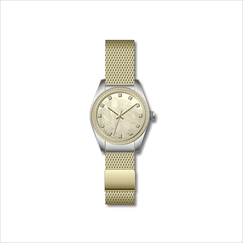 Famous Classic Ladies Stainless Steel Watches with Mesh band