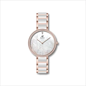Ladies Stainless Steel Watches with Ceramic