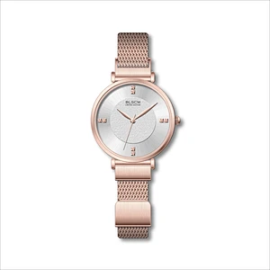 Popular Minimalist Ladies Watches With Magnetic Buckle