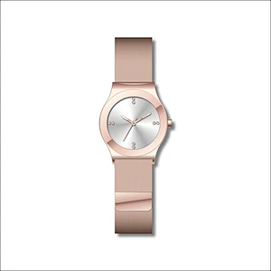 Simple couple stainless steel watches