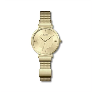 Popular Minimalist Ladies Watches With Magnetic Buckle