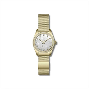 Famous Classic Ladies Stainless Steel Watches with Mesh band