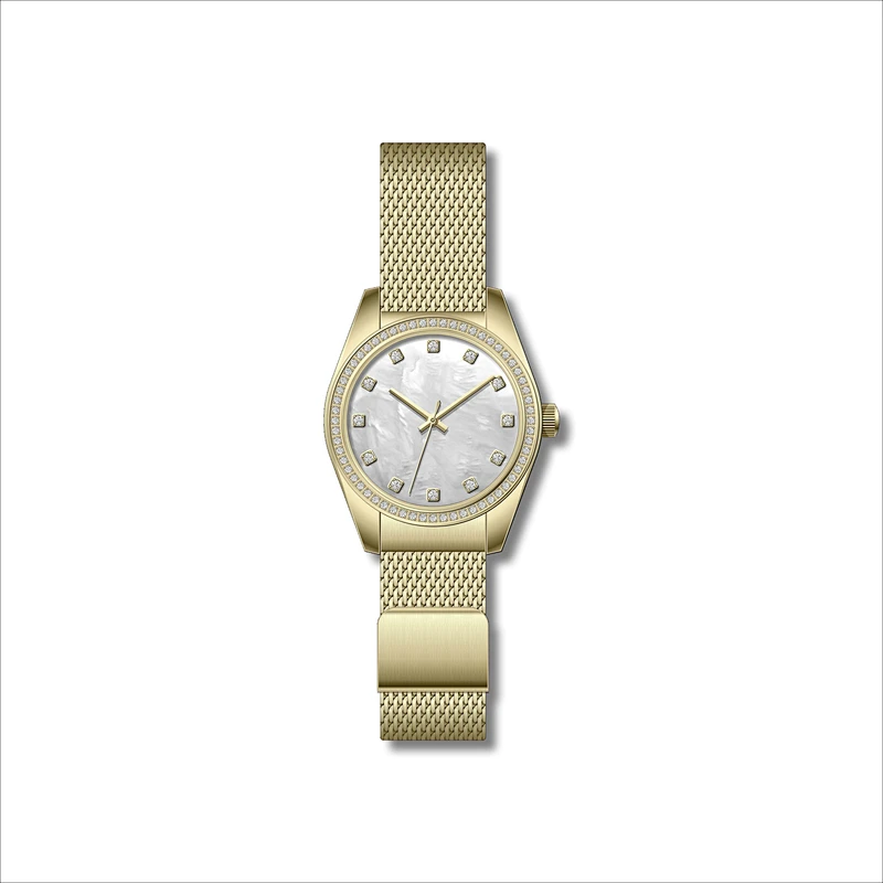 Famous Classic Ladies Stainless Steel Watches with Mesh band