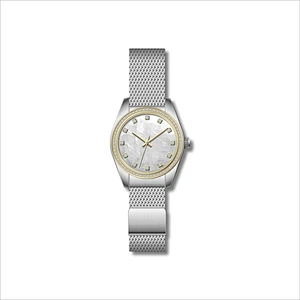 Famous Classic Ladies Stainless Steel Watches with Mesh band