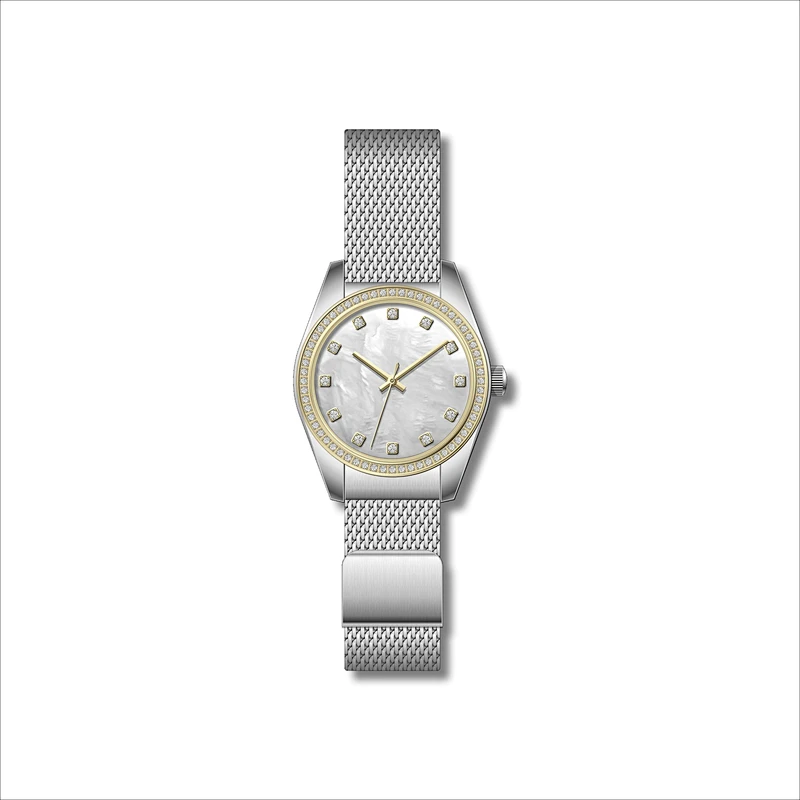 Famous Classic Ladies Stainless Steel Watches with Mesh band
