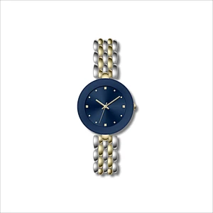 Famous Ladies Classic Stainless Steel Watches