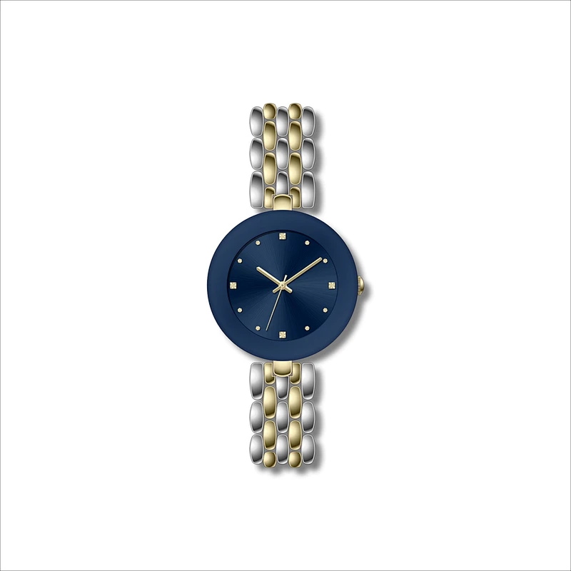 Famous Ladies Classic Stainless Steel Watches