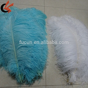 High quality dyed colors and white ostrich feather For Carnival Costumes
