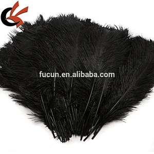 loose black Ostrich feathers