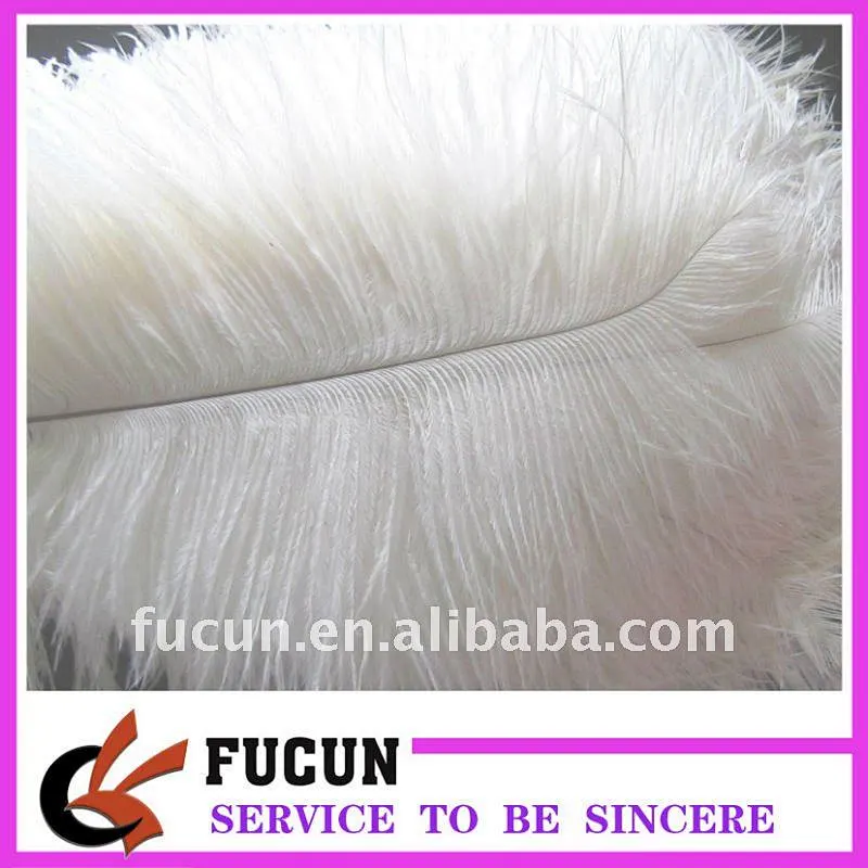 White Ostrich Feather/wholesale ostrich feathers