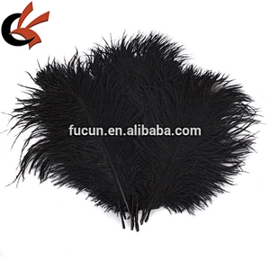 loose black Ostrich feathers