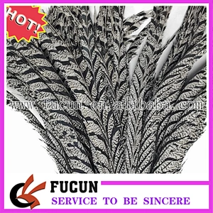 cheap pheasant feathers for carnival costumes