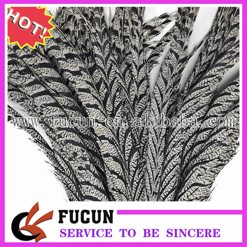 cheap pheasant feathers for carnival costumes
