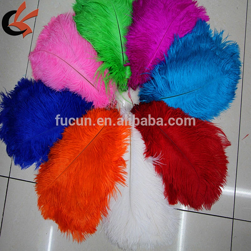 High quality dyed colors and white ostrich feather For Carnival Costumes